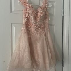 Blush Pink Formal Dress 