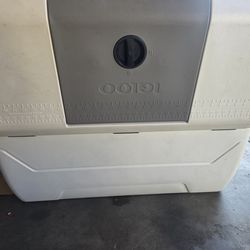 Cooler igloo