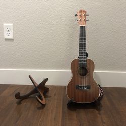 2 Ukulele Stands