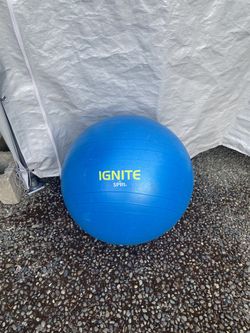 Weighted Exercise Ball