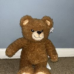 Bear From Build A Bear (Brand new) It’s Electronic.