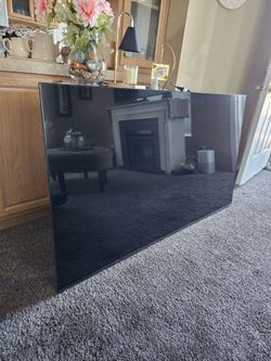 Vizio 65" TV