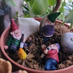 Drunken Gnome Garden