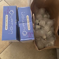 Replacement Light Bulbs