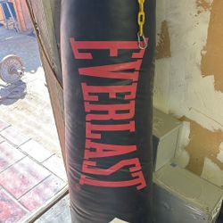 100lb Punching Bag