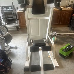 Standing Ab Raise Machine 