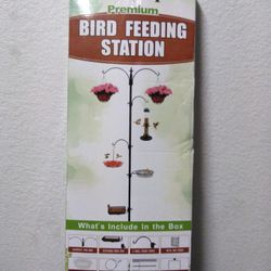 Birds Feeding 