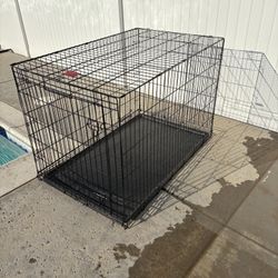 Dog Kennel
