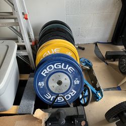 Rogue Competition Weights 