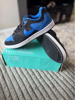 Nike Sb