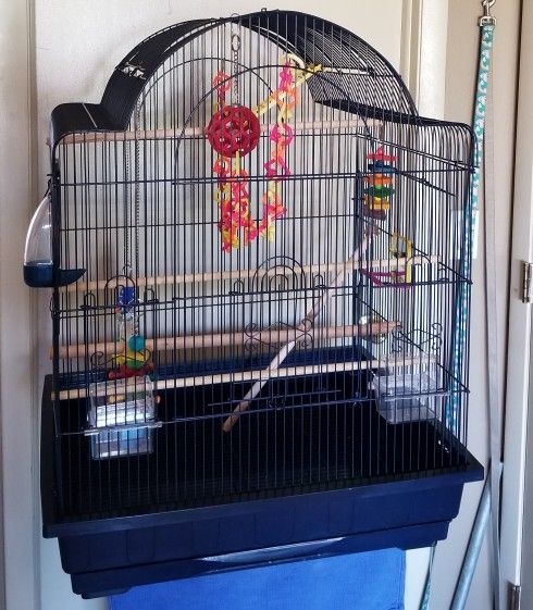 Parrot Cage-Open Top With Accessories 