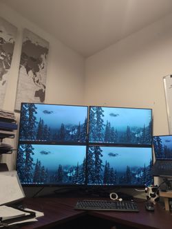 Two Monitors (27") And Dual Mount 