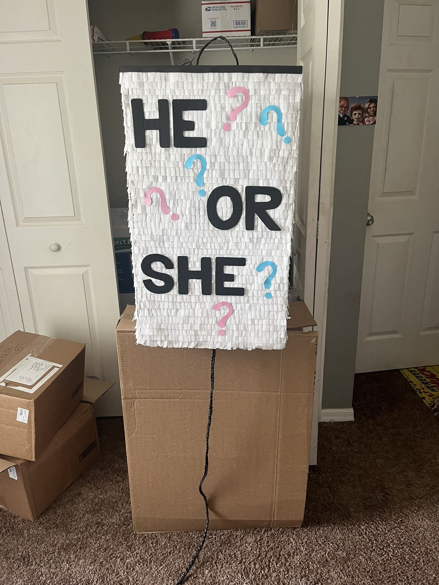 Gender Reveal Box