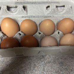 FARM FRESH EGGS