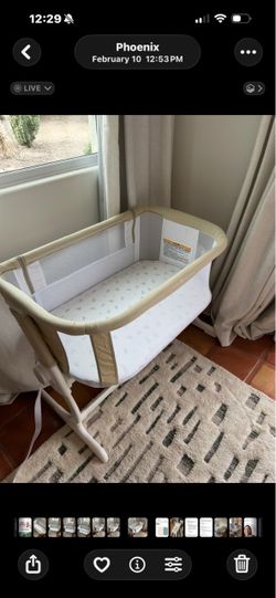 Baby Delight Beside Me Dreamer Bassinet