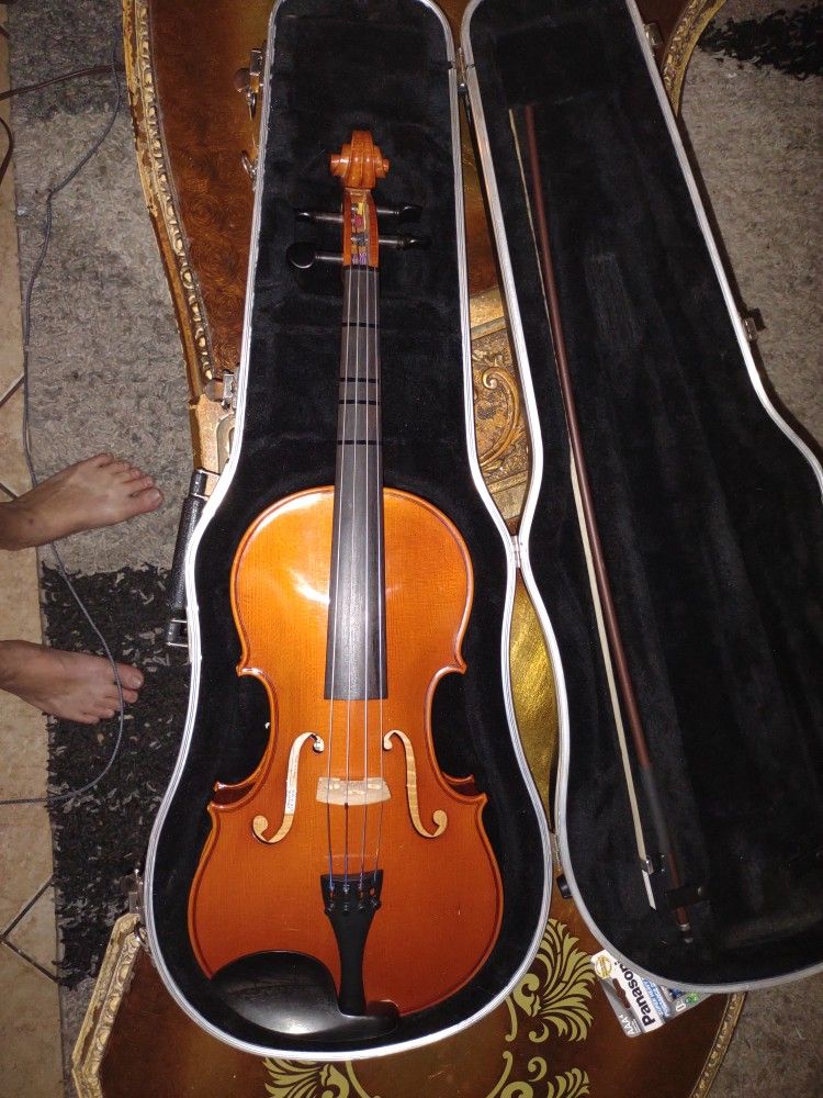 14" Student viola