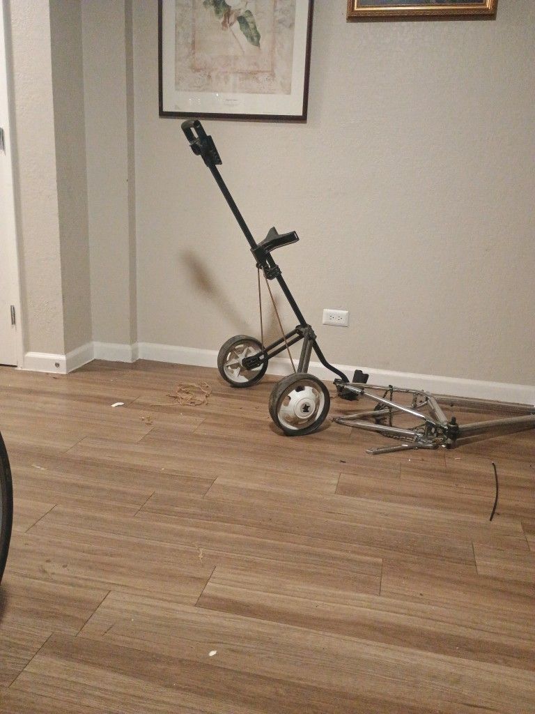 2 Wheel Folding Golf Cart