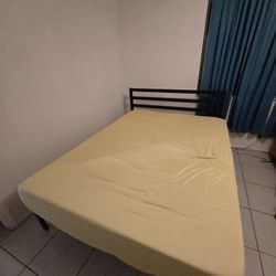 Queen Bed + Metallic Bed frame