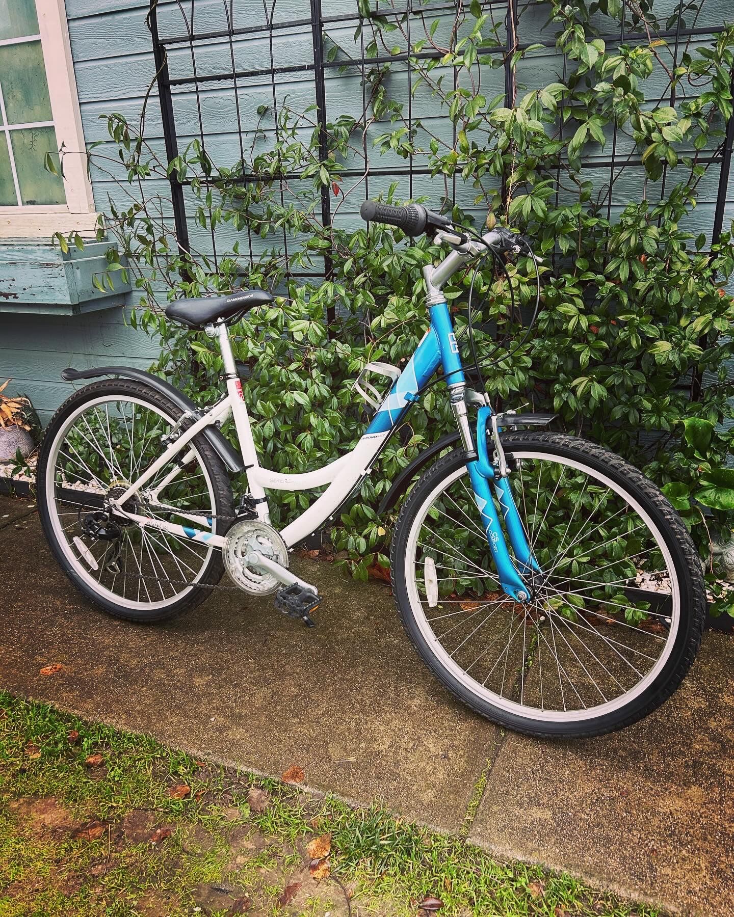 DIAMONDBACK SERENE ALL TERRAIN BIKE 26” Wheels
