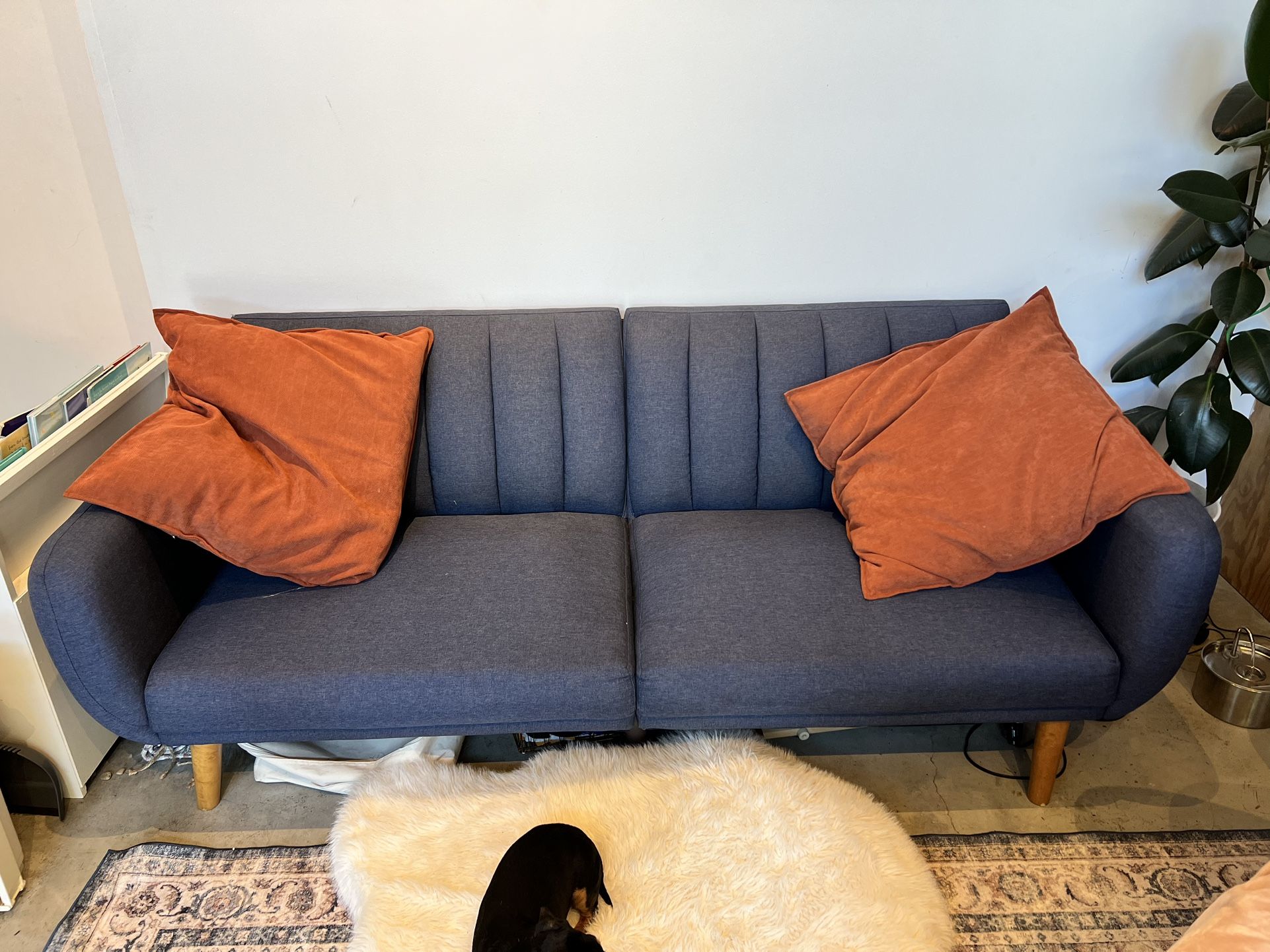 Blue Couch