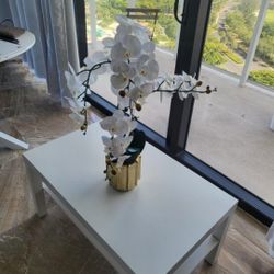 Chairs, Coffe Table, Side Stand, Dining Table