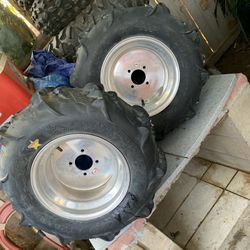 Sand Paddle Tires
