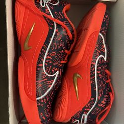 Lebron XXII Basketball Shoes 6.5/8women