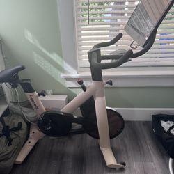 Freebeat Stationary Bike