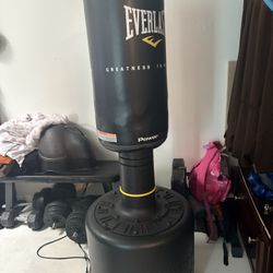Standing Punching Bag 