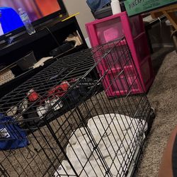 Kennel For Smaller Dogs 