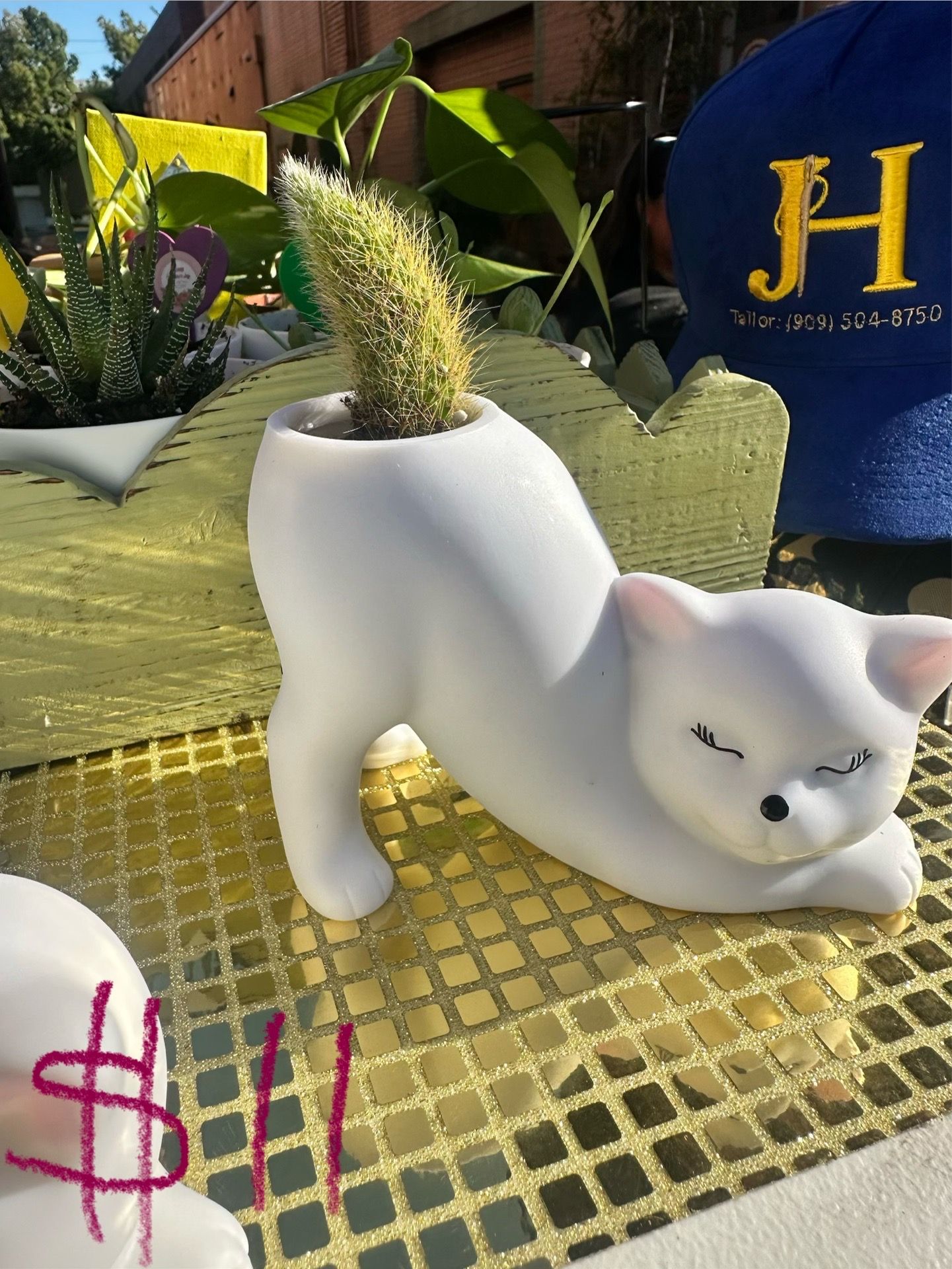 Mother’s Day succulents