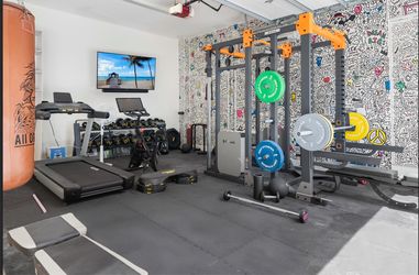 Home Gym Equipment Package - Peloton Bike+, SHUA Rack & Dumbbells, REP Plates