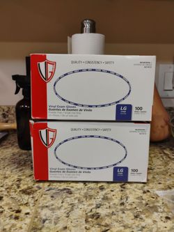Large Vinyl Exam Gloves