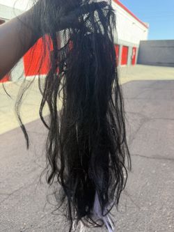 Wig! 🎃 