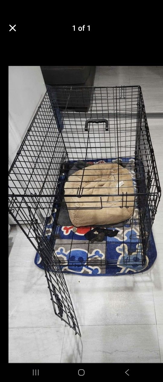 Dog Cage