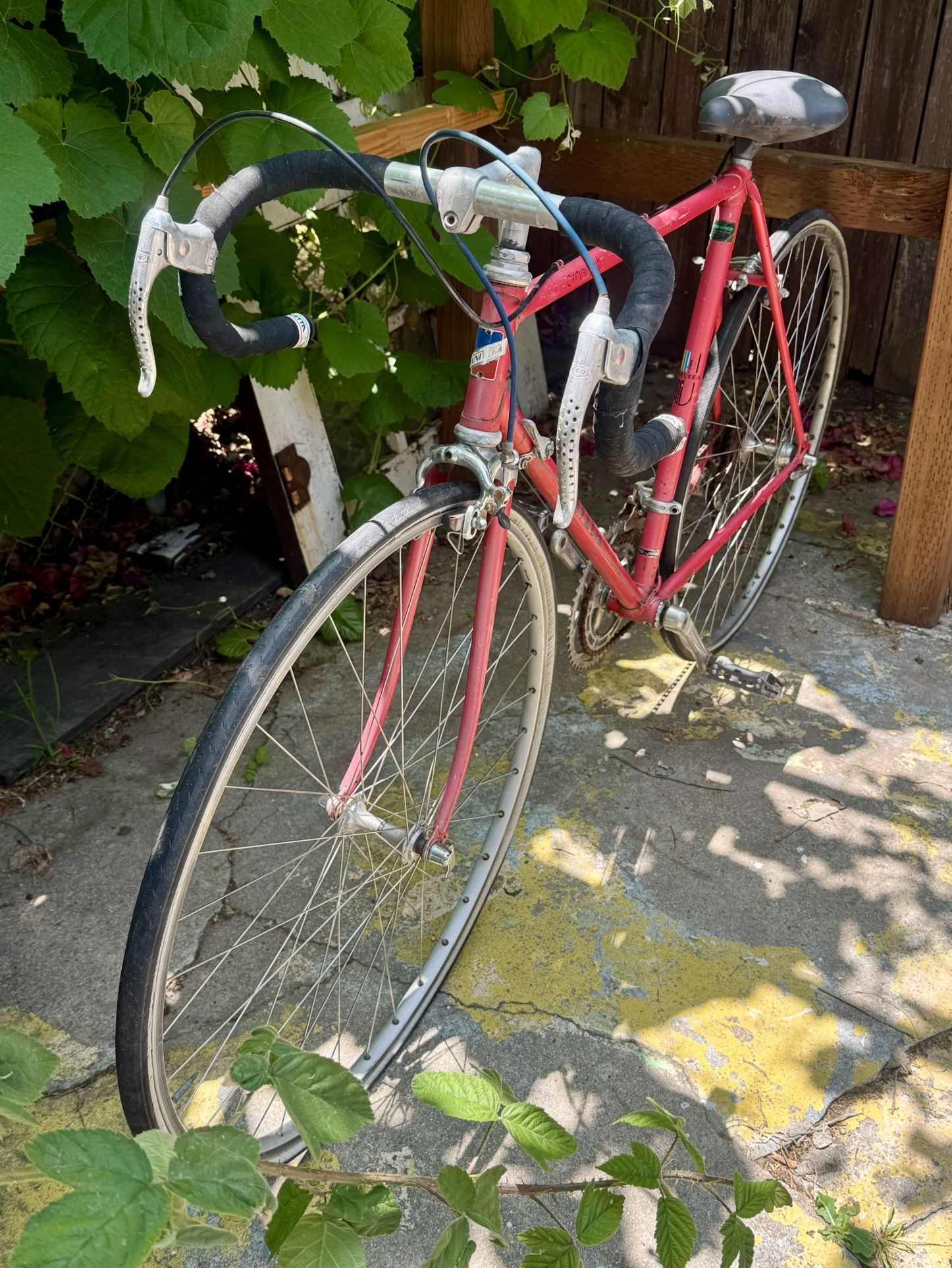 Vintage Project Bike