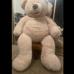5 Foot Bear 
