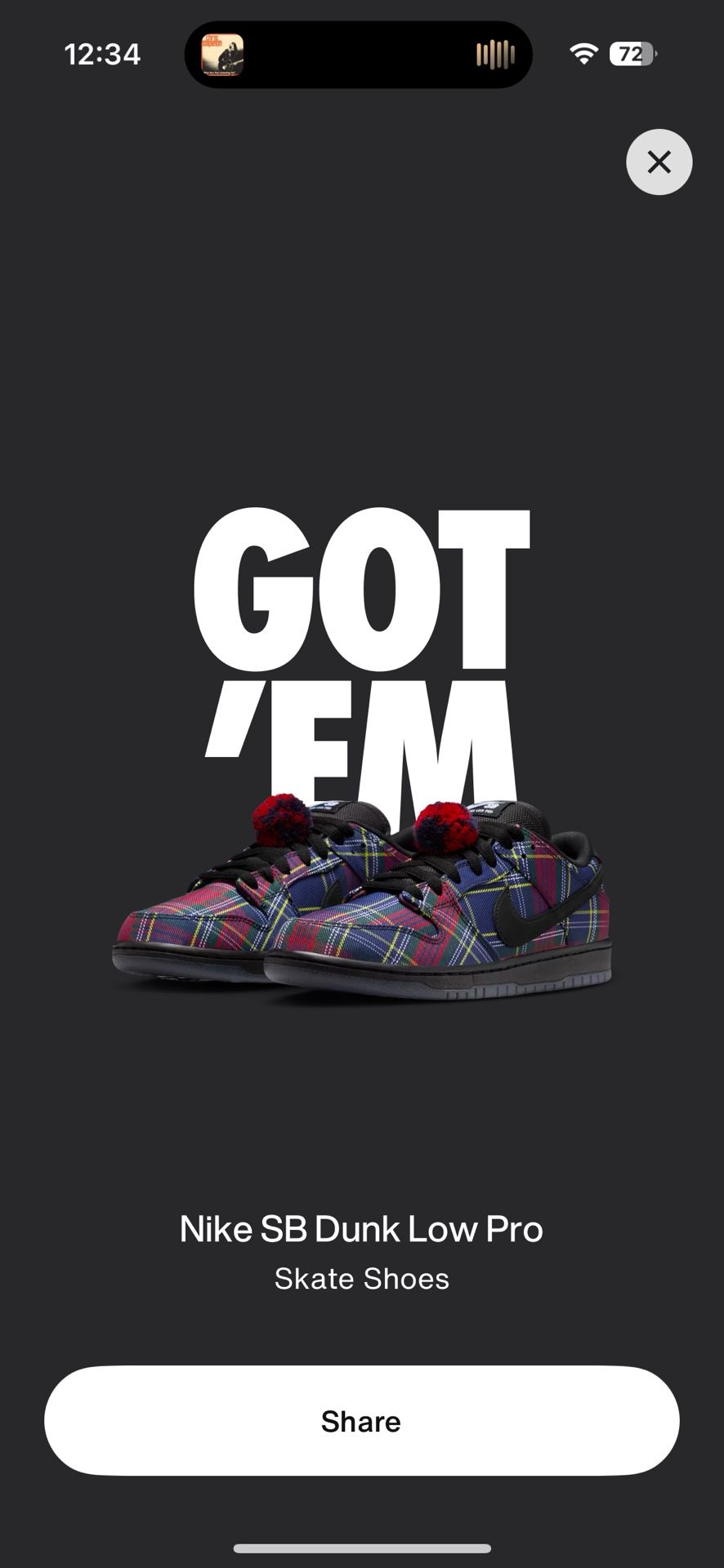 Nike SB Dunk Low Nardwuar Size 13