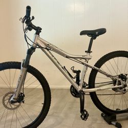 Gorgeous GT Mountain (1-owner) - Like New, Disc brakes, Free Eiuxtras 