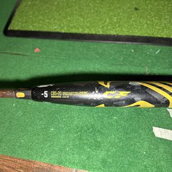 31 Inch Baseball Bat