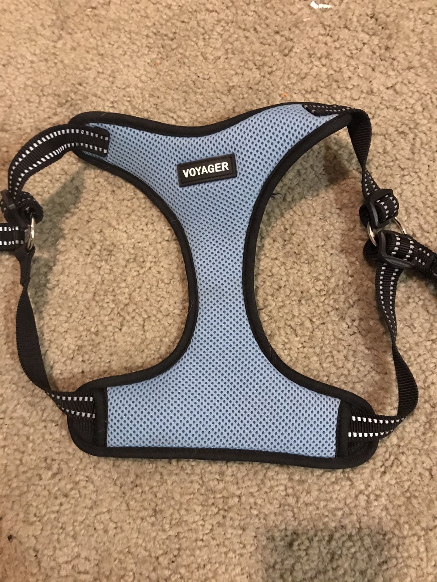 Harness