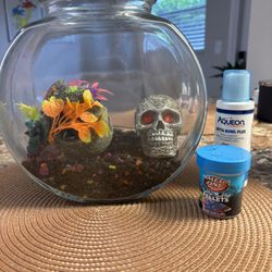SMALL FISH TANK WITH SUPPLIES