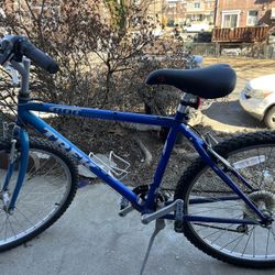 Trek Mountain Track 800 Bike