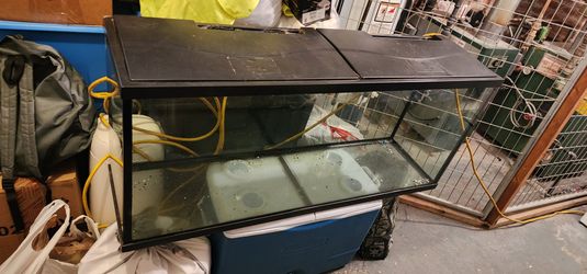 Tanque 55 galones no inclulle filtro