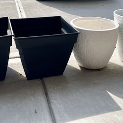 Plant Pots