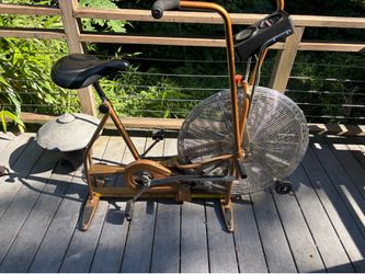 Schwinn Air-Dyne stationary bike