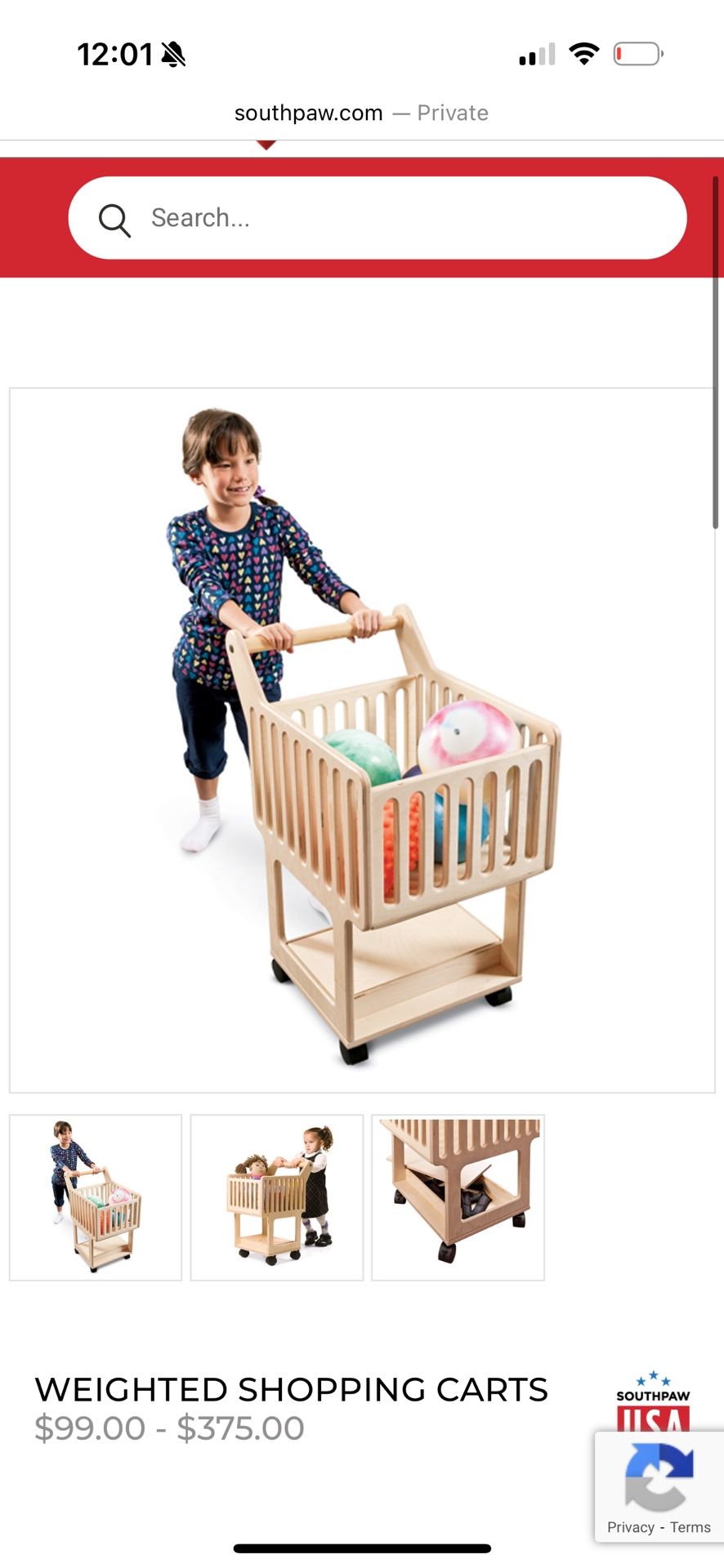 Southpaw Occupational therapy Weighted Shopping cart