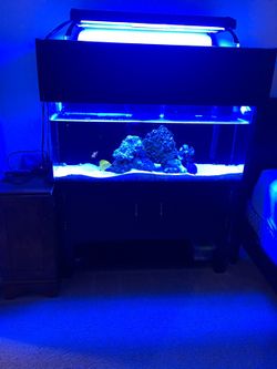 65 gallons acrylic tank complete set