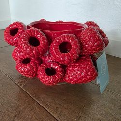 Brand New Martha Stewart Raspberry Pot 
