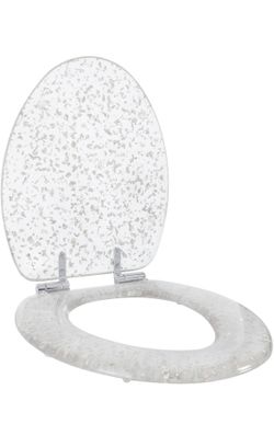 Transparent Resin Toilet Seat